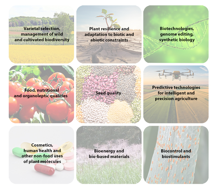 Innovation fields