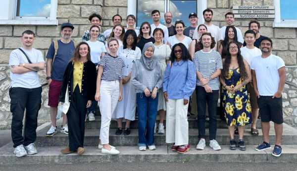 SPS Summer School 2026